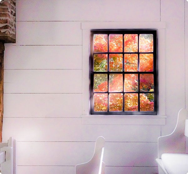 Beautiful fall trees seen from inside the meeting house through a window